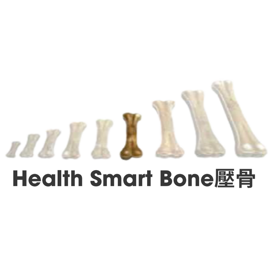 其他 Health Smart Bone 壓骨 6