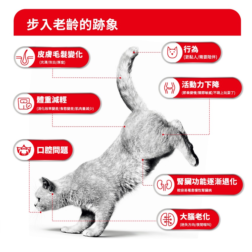 Royal Canin 貓糧 法國皇家貓糧 FHN 老齡貓11+ 營養配方 4kg (4108900) (圖片4)
