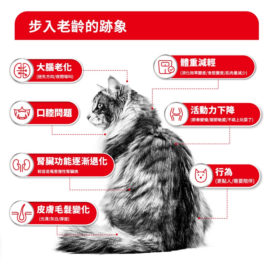 Royal Canin 貓糧 法國皇家貓糧 FHN 老齡貓15+ 營養配方 2kg (4108800) (圖片4)