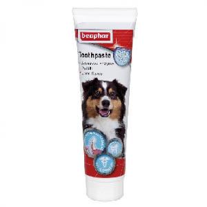 狗狗清潔美容用品-Beaphar-狗狗專用潔齒牙膏-Toothpaste-100g-15317-口腔護理-寵物用品速遞