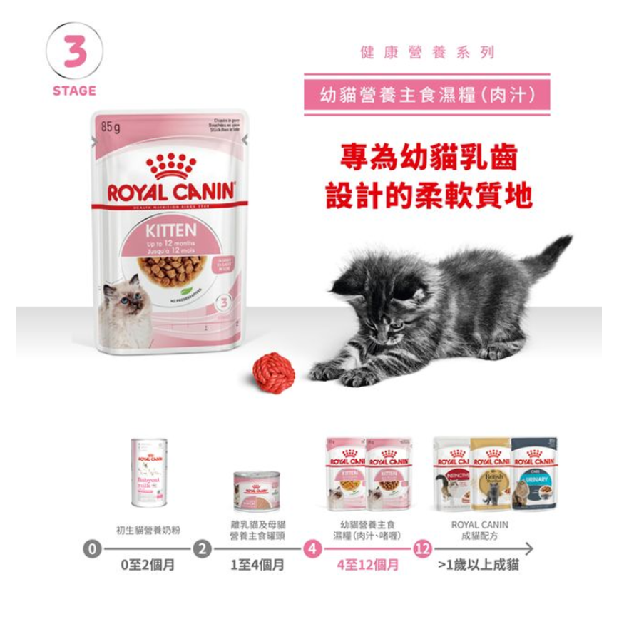 Royal Canin 法國皇家 Kitten 貓濕糧 幼貓營養主食濕糧 (肉汁) 85g (圖片7)