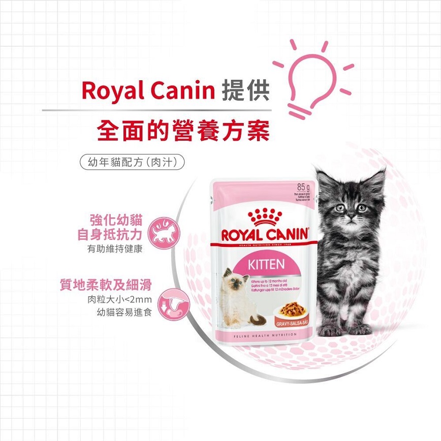 Royal Canin 法國皇家 Kitten 貓濕糧 幼貓營養主食濕糧 (肉汁) 85g (圖片4)