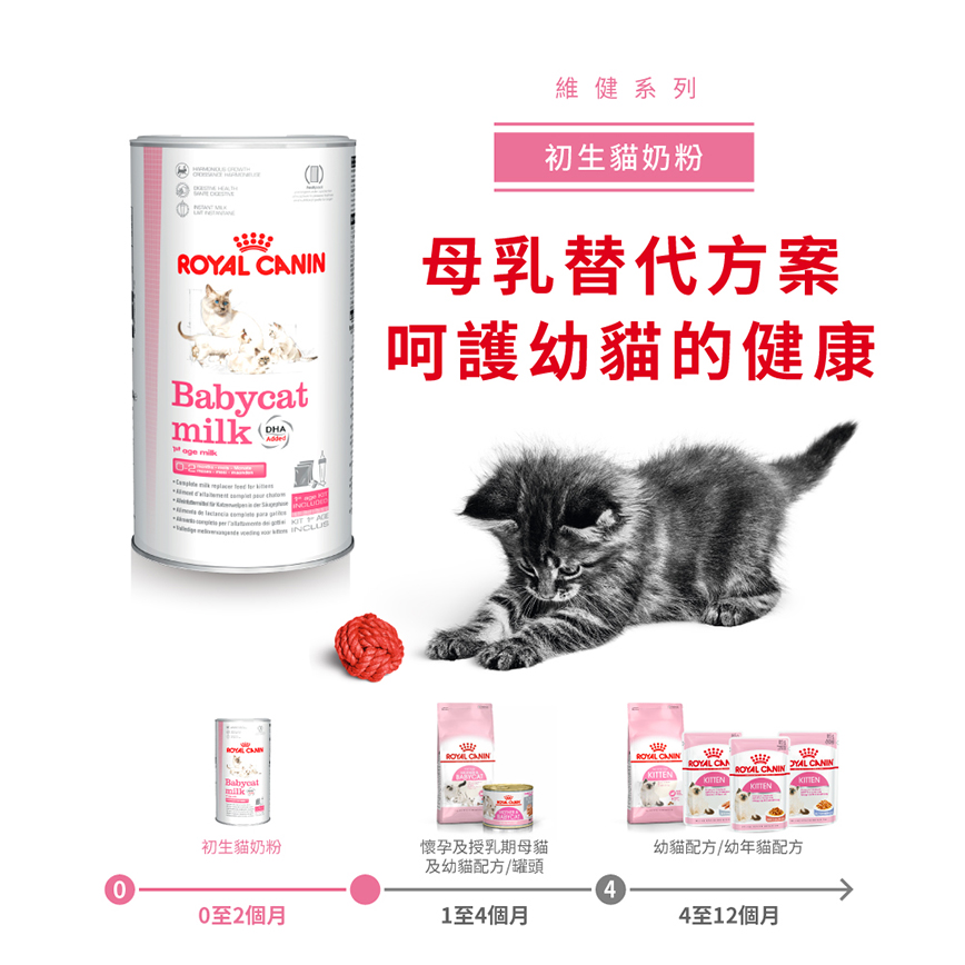 Royal Canin 法國皇家 FHN 初生貓營養奶粉 300g BCM 300 (4023800) (圖片3)