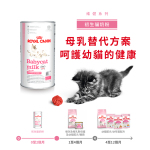 Royal Canin法國皇家 FHN 初生貓營養奶粉 300g BCM 300 (4023800) (新舊包裝隨機出貨) 貓咪保健用品 初生護理 寵物用品速遞