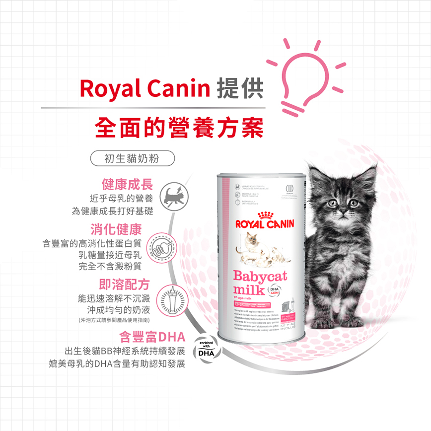 Royal Canin 法國皇家 FHN 初生貓營養奶粉 300g BCM 300 (4023800) (圖片5)