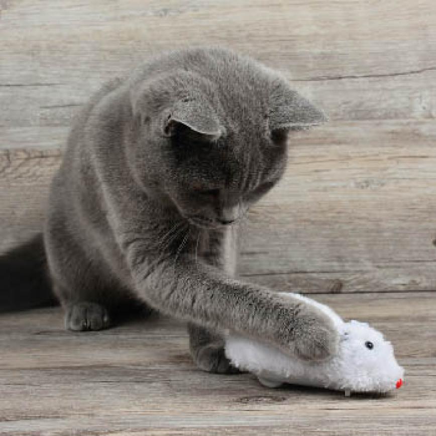 HelloDOG 貓玩具 毛絨上鏈小老鼠逗貓玩具 (顏色隨機) (圖片3)