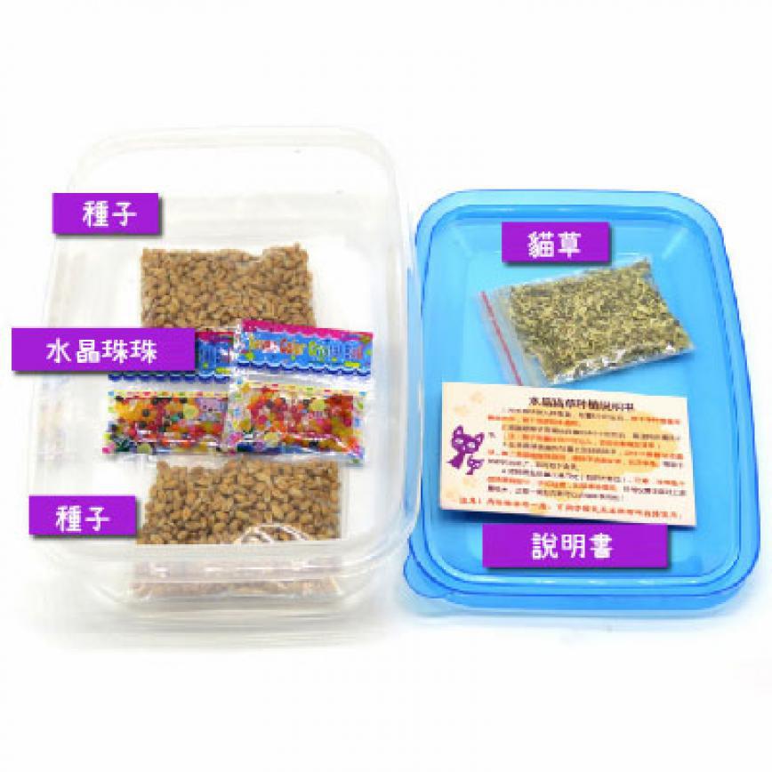Catnip Natural DIY 水晶珠珠貓草套裝 (圖片3)