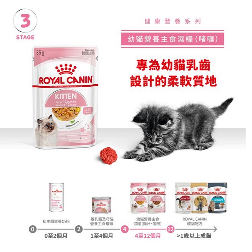 Royal Canin 法國皇家 Kitten 貓濕糧 幼貓營養主食濕糧 (啫喱) 85g (圖片3)