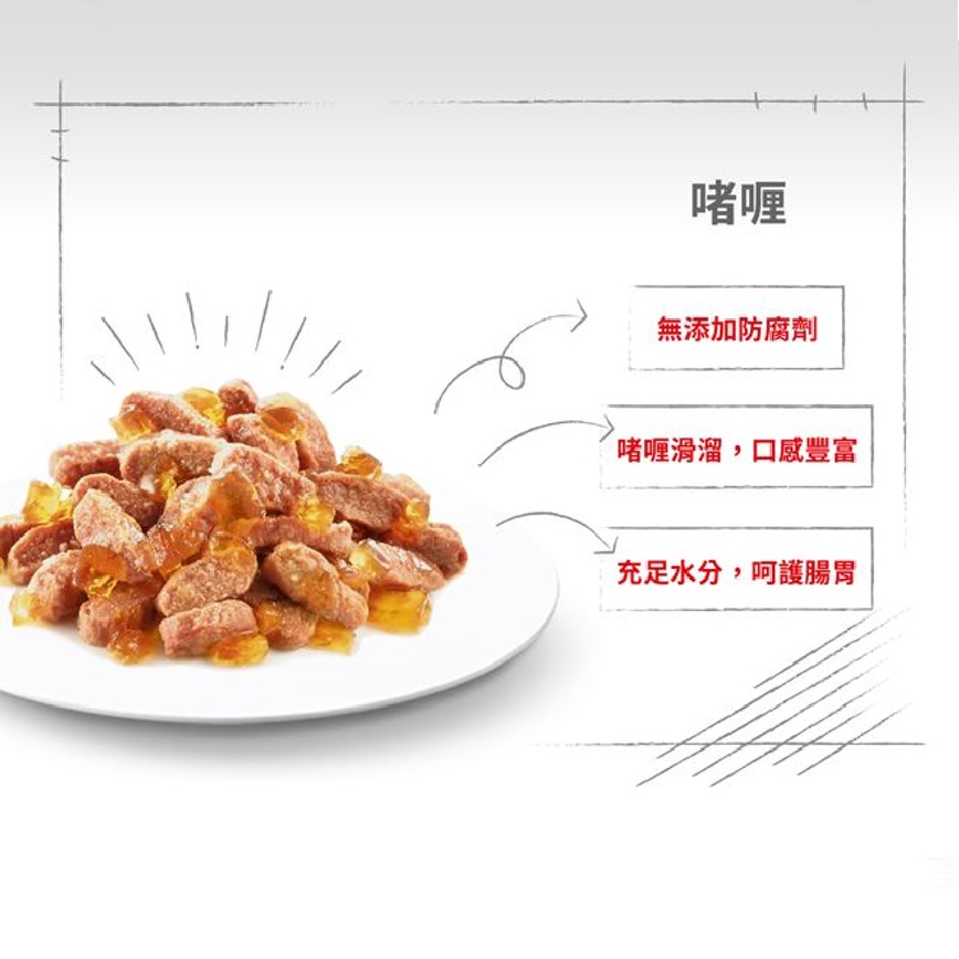 Royal Canin 法國皇家 Kitten 貓濕糧 幼貓營養主食濕糧 (啫喱) 85g (圖片5)