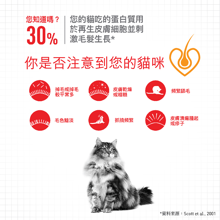 Royal Canin 法國皇家 貓濕糧 成貓亮毛及皮膚加護主食濕糧 (啫喱) 85g 啫喱配方 85g (3105400) (圖片3)