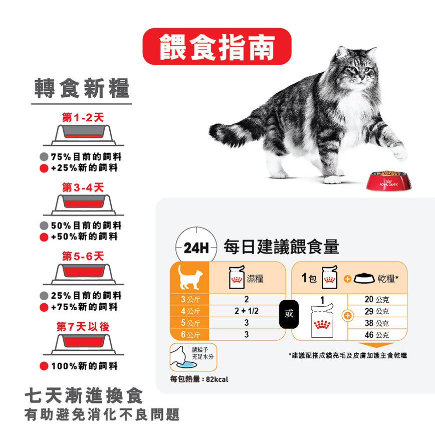Royal Canin 法國皇家 貓濕糧 成貓亮毛及皮膚加護主食濕糧 (啫喱) 85g 啫喱配方 85g (3105400) (圖片6)