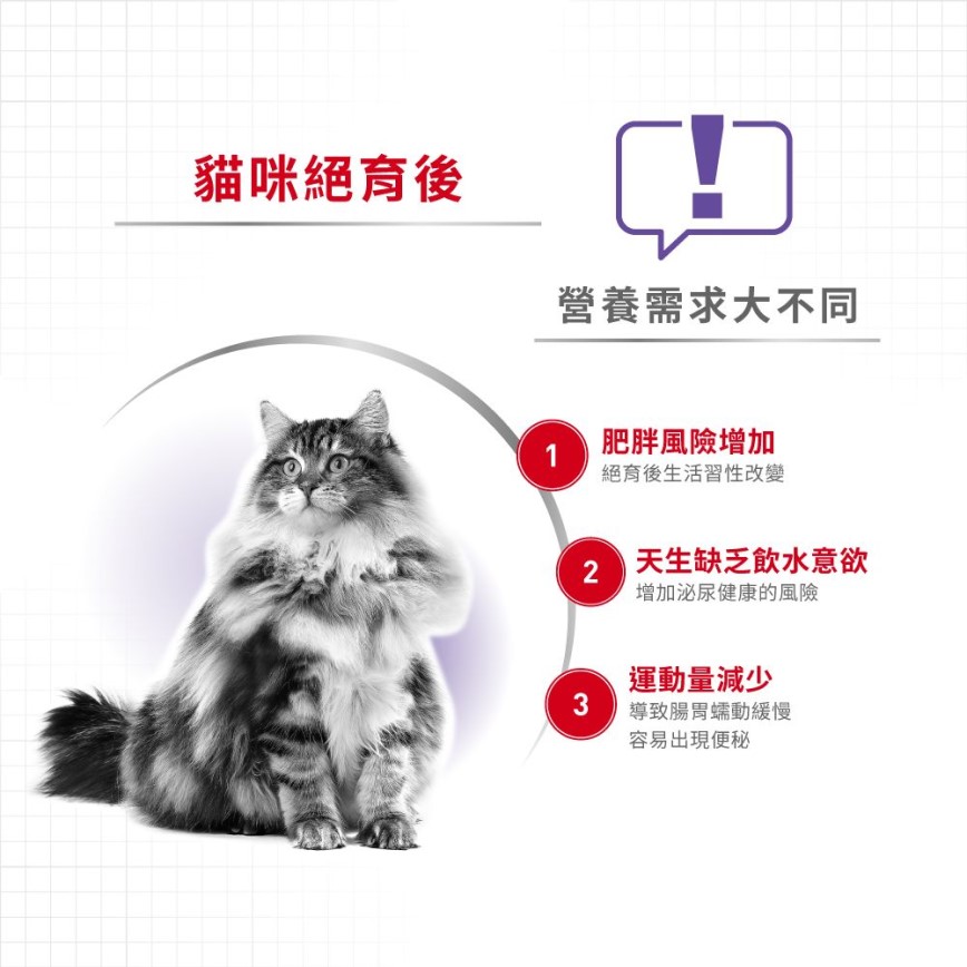Royal Canin 法國皇家 貓濕糧 絕育成貓營養主食濕糧 (啫喱) 85g (圖片4)