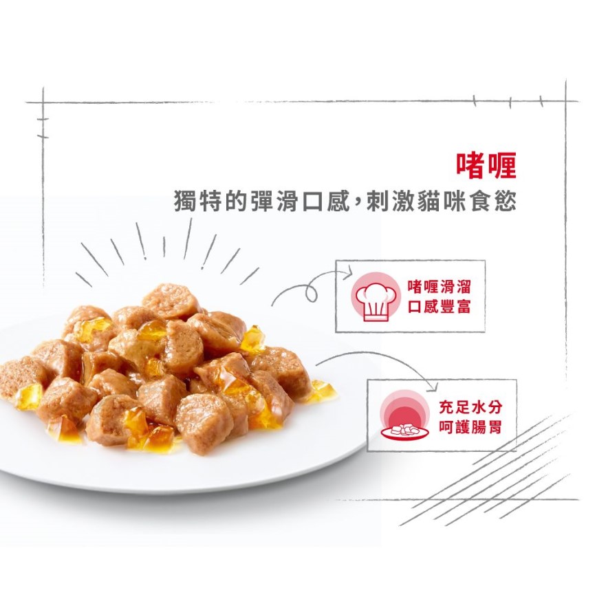 Royal Canin 法國皇家 貓濕糧 絕育成貓營養主食濕糧 (啫喱) 85g (圖片6)