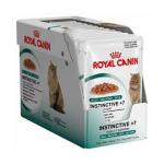 Royal Canin法國皇家 秘製啫喱系列 老貓滋味配方 MT7J 85g 貓罐頭 貓濕糧 Royal Canin 法國皇家 寵物用品速遞