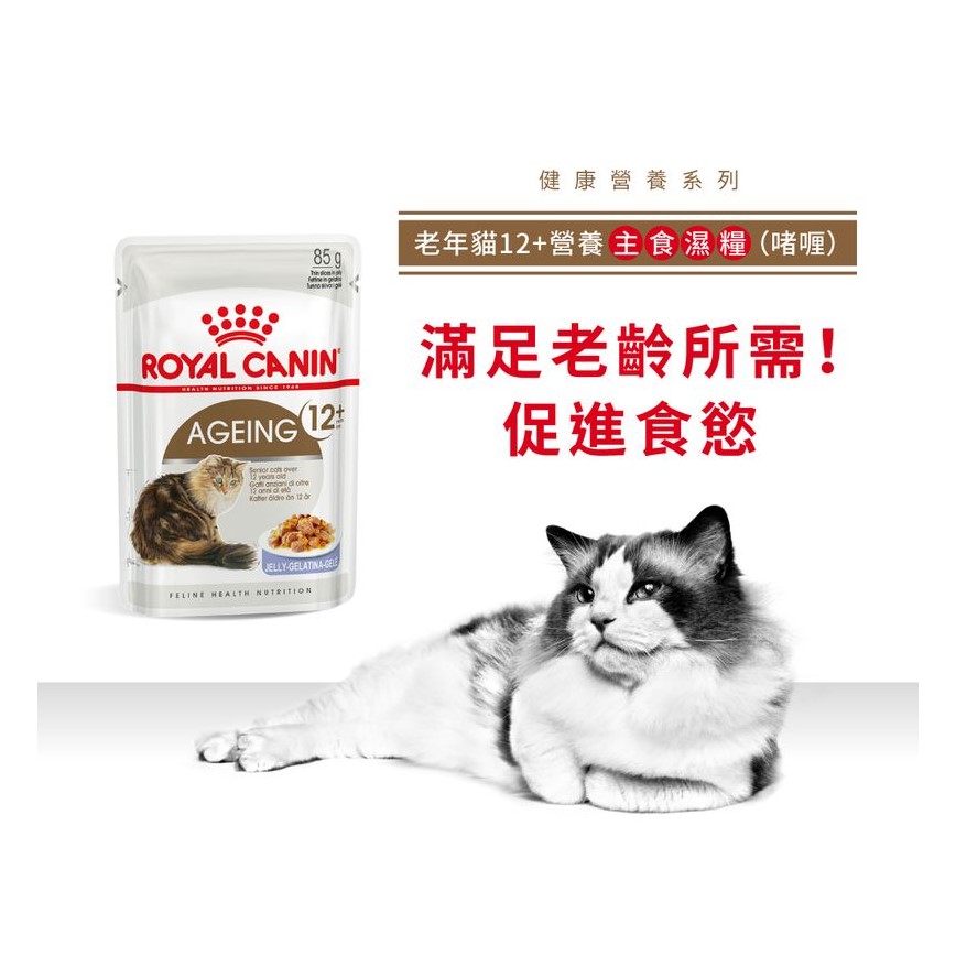 Royal Canin 法國皇家 貓濕糧 老年貓12+營養主食濕糧 (啫喱) 85g (圖片3)