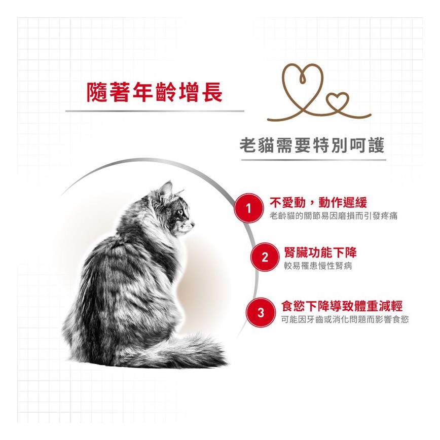 Royal Canin 法國皇家 貓濕糧 老年貓12+營養主食濕糧 (啫喱) 85g (圖片4)
