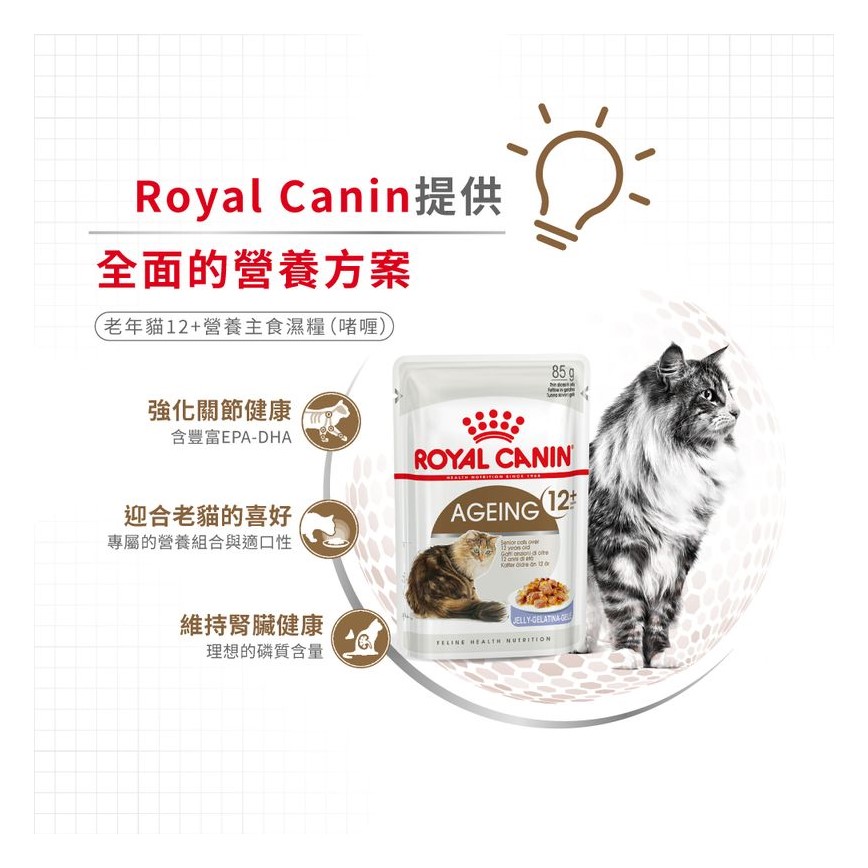 Royal Canin 法國皇家 貓濕糧 老年貓12+營養主食濕糧 (啫喱) 85g (圖片5)