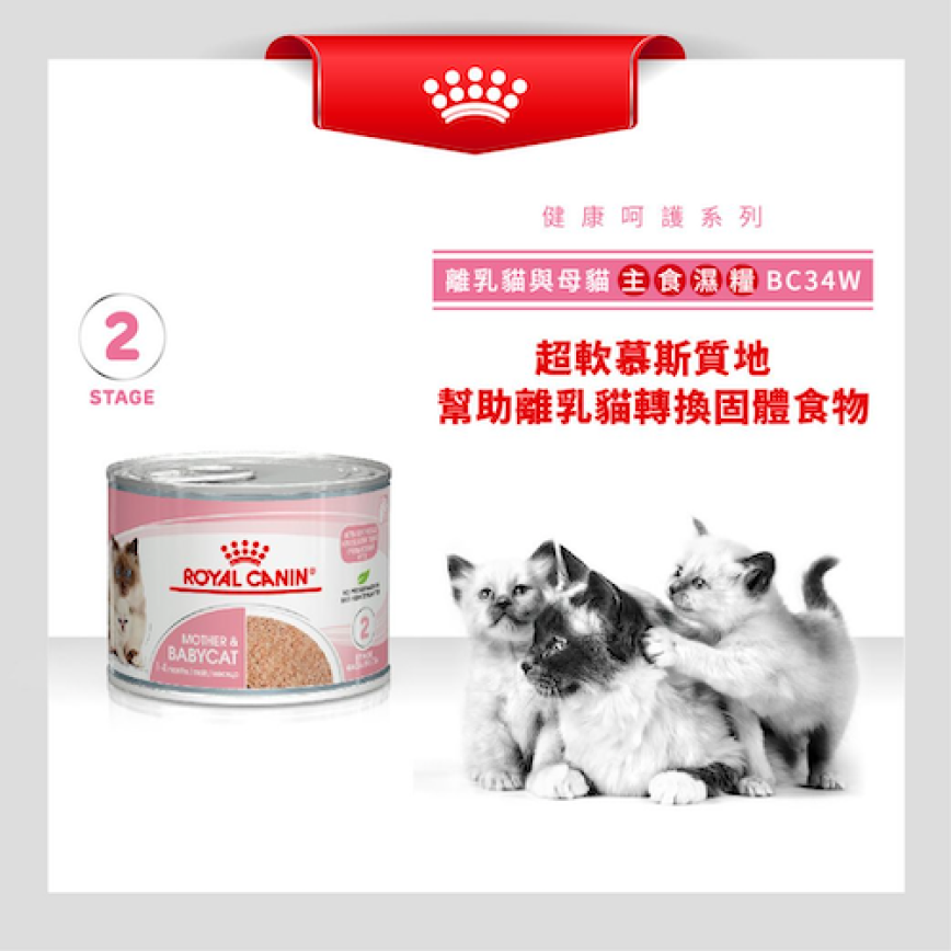 Royal Canin 法國皇家 貓濕糧 離乳貓及母貓營養主食罐頭 BB02 195g (3077200) (圖片5)