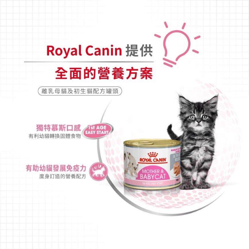 Royal Canin 法國皇家 貓濕糧 離乳貓及母貓營養主食罐頭 BB02 195g (3077200) (圖片4)