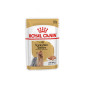 Royal-Canin法國皇家-精煮肉汁-約瑟爹利犬專門濕糧-PRY85-85g-2669700-Royal-Canin-法國皇家