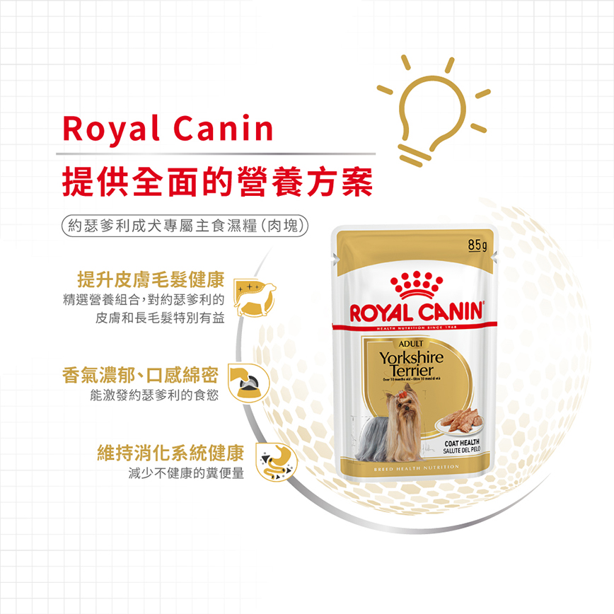 Royal Canin 法國皇家 狗濕糧 約瑟爹利成犬專屬主食濕糧 (肉塊) 85g (圖片5)