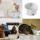 貓犬用日常用品-日本猫壱-necoichi-ペット-陶瓷闊圓寵物水碗-腳印款-貓犬用-DC-0704-SC02-貓犬用-寵物用品速遞