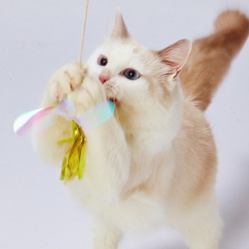 日本Petio 閃亮蜻蜓逗貓棒 (圖片3)