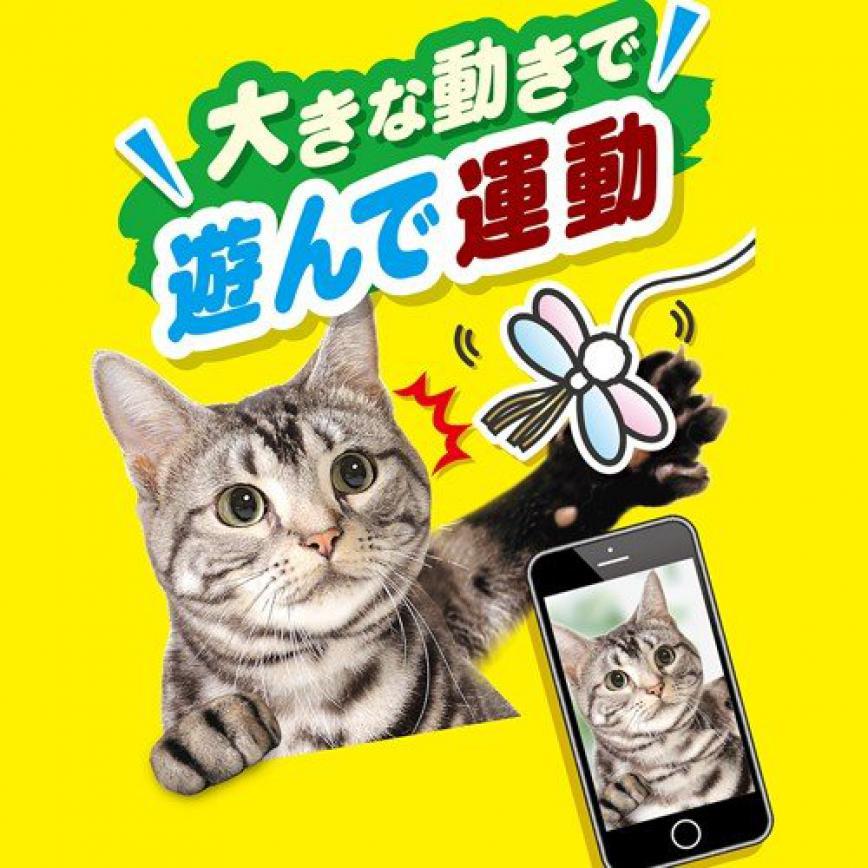 日本Petio 閃亮蜻蜓逗貓棒 (圖片4)