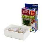 貓咪保健用品-日本CattyMan-ASAP-生野菜貓草-2回份量-貓咪去毛球-寵物用品速遞