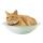 貓咪玩具-日本Petz-Route-鋁製冰涼消暑貓窩-貓貓-寵物用品速遞