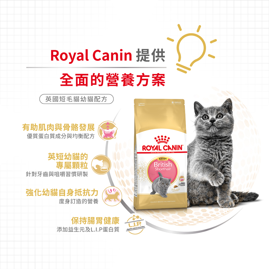 Royal Canin 貓糧 法國皇家貓糧 純種系列 英國短毛幼貓專屬配方 KBSH38 2kg (2519900) (圖片4)