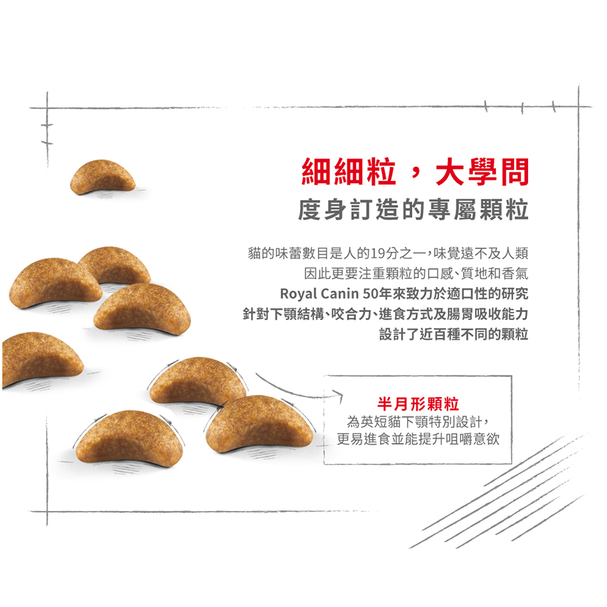 Royal Canin 貓糧 法國皇家貓糧 純種系列 英國短毛幼貓專屬配方 KBSH38 2kg (2519900) (圖片5)