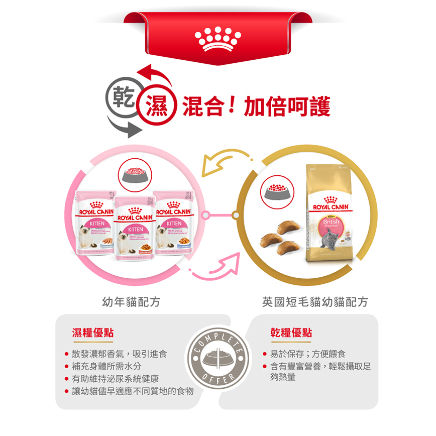 Royal Canin 貓糧 法國皇家貓糧 純種系列 英國短毛幼貓專屬配方 KBSH38 2kg (2519900) (圖片6)