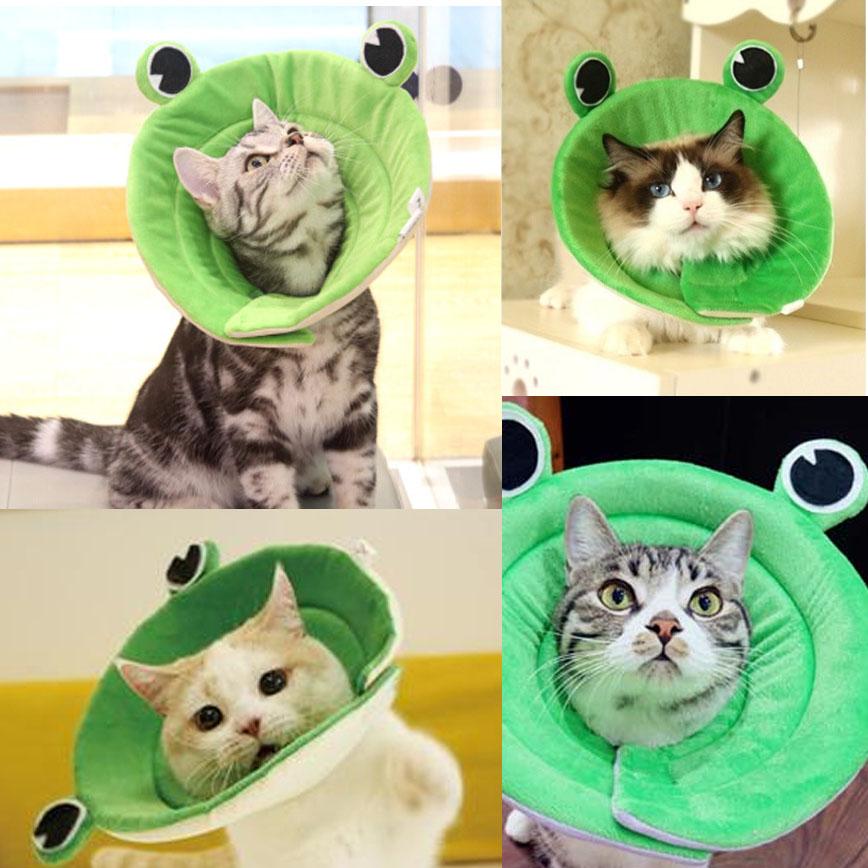 寵物超可愛防咬頸圈 大眼青蛙 XL碼 (圖片3)