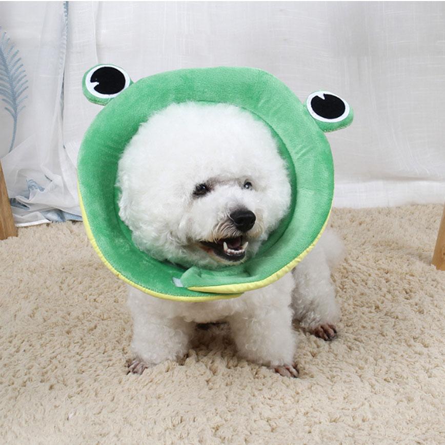 寵物超可愛防咬頸圈 大眼青蛙 XL碼 (圖片4)