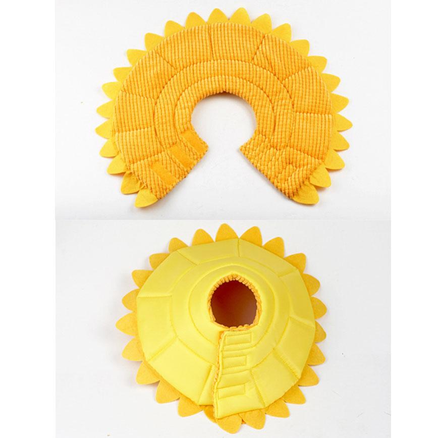 貓犬用日常用品 寵物超可愛防咬頸圈 向日葵 M碼