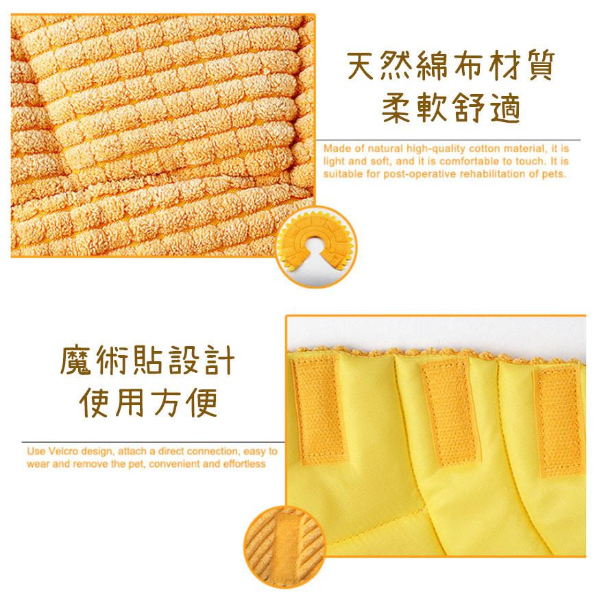 寵物超可愛防咬頸圈 向日葵 M碼 (圖片3)