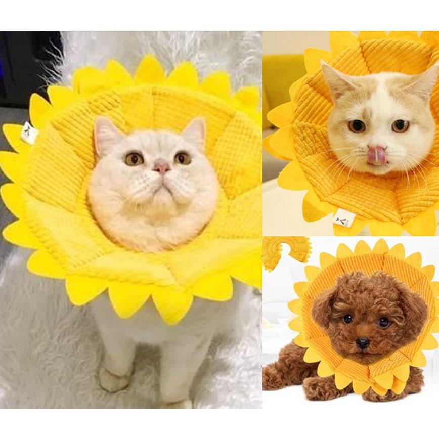 寵物超可愛防咬頸圈 向日葵 L碼 (圖片3)