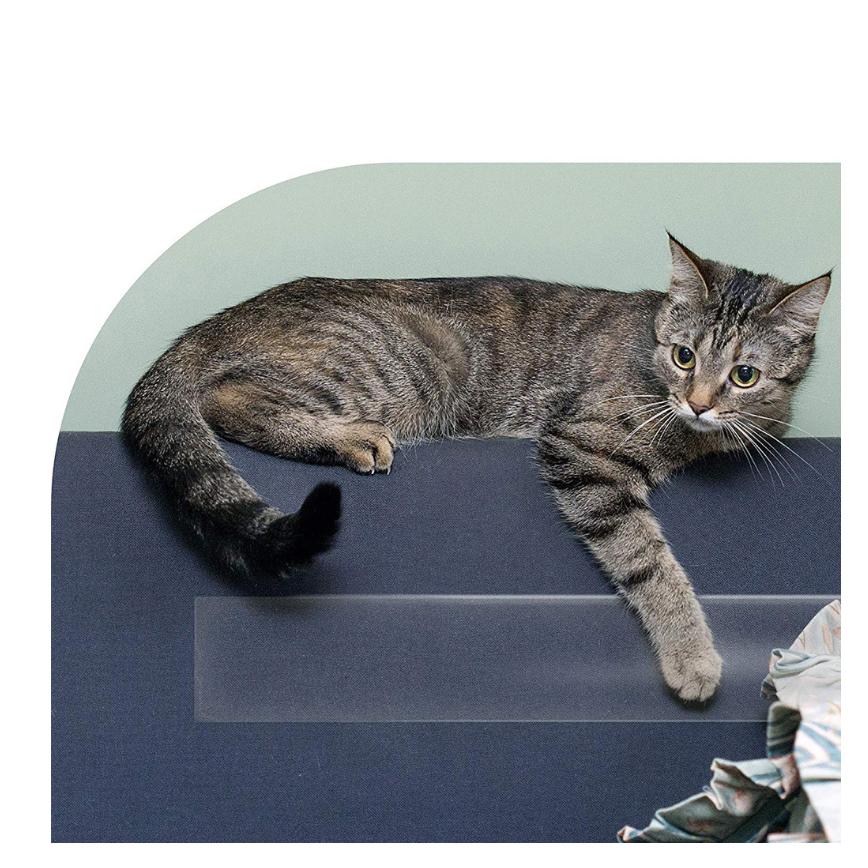 寵物沙發貓咪 透明防抓防刮保護貼 (圖片3)