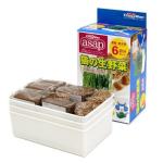 日本CattyMan ASAP 生野菜貓草 6回份量 (停售) 貓咪保健用品 貓咪去毛球 寵物用品速遞