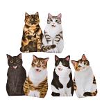 日本貓部NEKOBU 超可愛貓咪伸脷利是封 一套八個 貓貓 貓咪飾物 寵物用品速遞