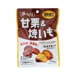 日本フジサワ 狗狗燒燒栗子 45g (停售) 狗零食 其他 寵物用品速遞