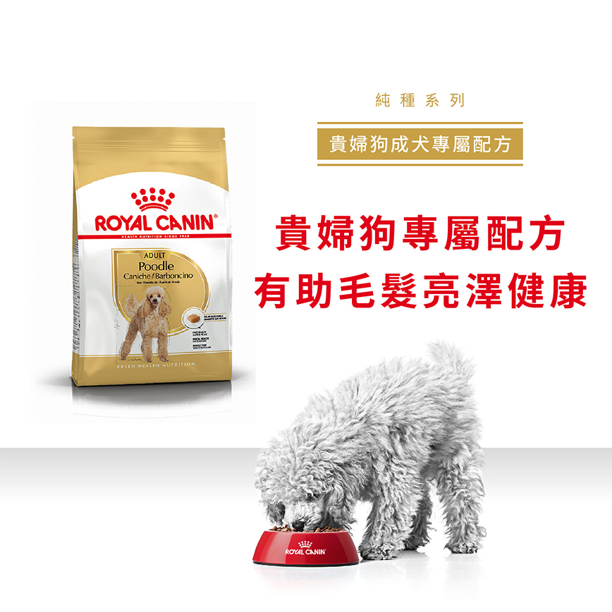 Royal Canin 狗糧 法國皇家狗糧 純種系列 貴婦狗成犬專屬配方 貴婦犬糧 PD30 3kg (3057030010) (圖片3)