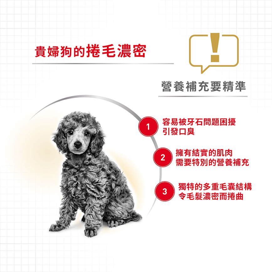 Royal Canin 狗糧 法國皇家狗糧 純種系列 貴婦狗成犬專屬配方 貴婦犬糧 PD30 3kg (3057030010) (圖片4)