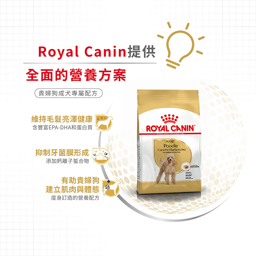 Royal Canin 狗糧 法國皇家狗糧 純種系列 貴婦狗成犬專屬配方 貴婦犬糧 PD30 3kg (3057030010) (圖片5)