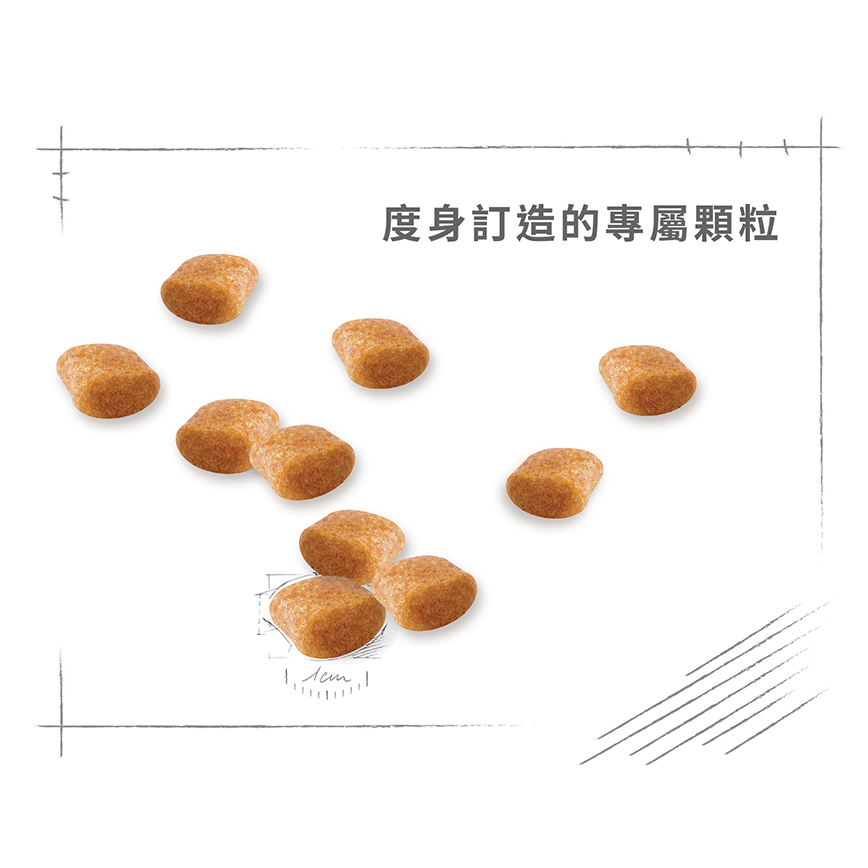 Royal Canin 狗糧 法國皇家狗糧 純種系列 貴婦狗成犬專屬配方 貴婦犬糧 PD30 3kg (3057030010) (圖片6)