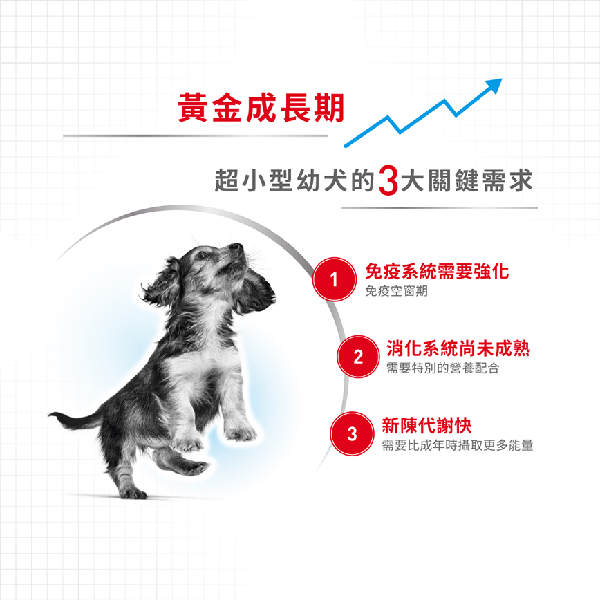 Royal Canin 狗糧 法國皇家狗糧 健康營養系列 超小型幼犬營養配方 超小顆粒配方幼犬糧 XSP 3kg (1002030011) (圖片3)