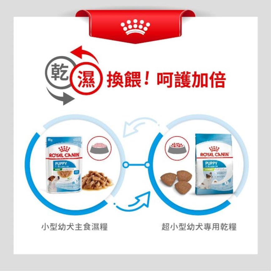 Royal Canin 狗糧 法國皇家狗糧 健康營養系列 超小型幼犬營養配方 超小顆粒配方幼犬糧 XSP 3kg (1002030011) (圖片5)