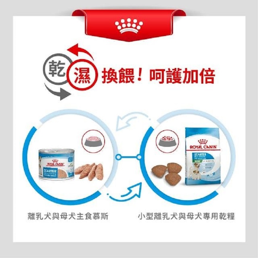 Royal Canin 狗糧 法國皇家狗糧 健康營養系列 小型初生犬及母犬營養配方 小型初生BB糧 MIST 3kg (2990030011) (圖片5)