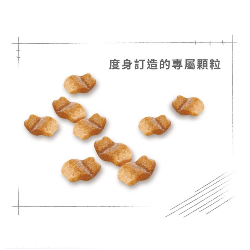 Royal Canin 狗糧 法國皇家狗糧 純種系列 鬥牛成犬專屬配方 鬥牛成犬糧 BUD 3kg (2550000) (圖片6)